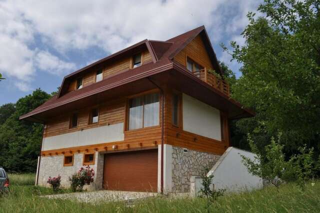 Виллы VILA IVA Колашин-26