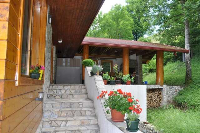 Виллы VILA IVA Колашин-29